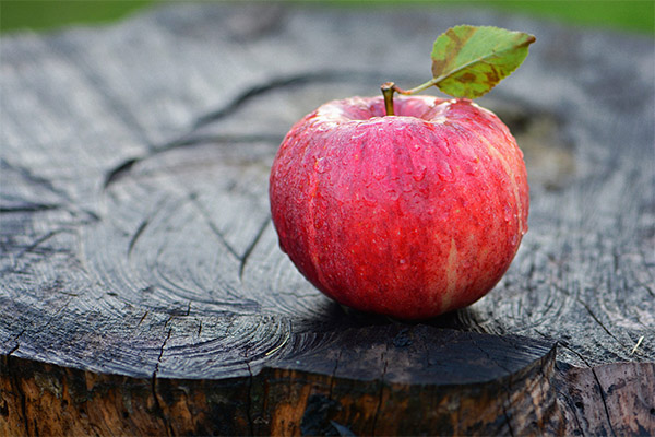 Interessante fakta om æbler