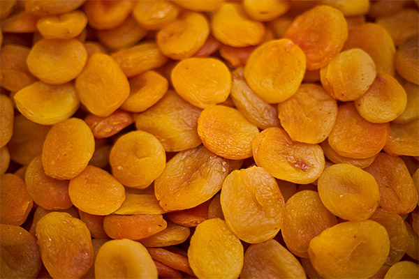 Zajímavosti o sušených meruňkách