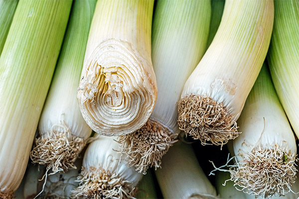 Interesting Facts about Leeks
