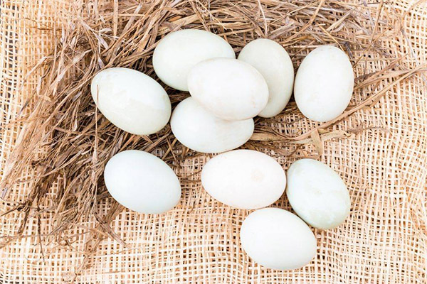 アヒルの卵に関する事実と数字