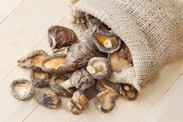 How to store dried mushrooms