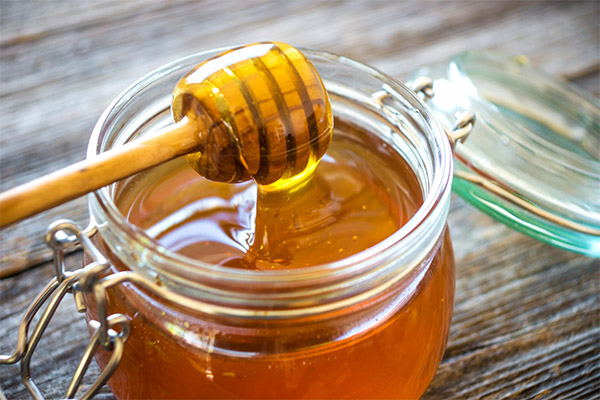 Hvordan og hvor man opbevarer honning