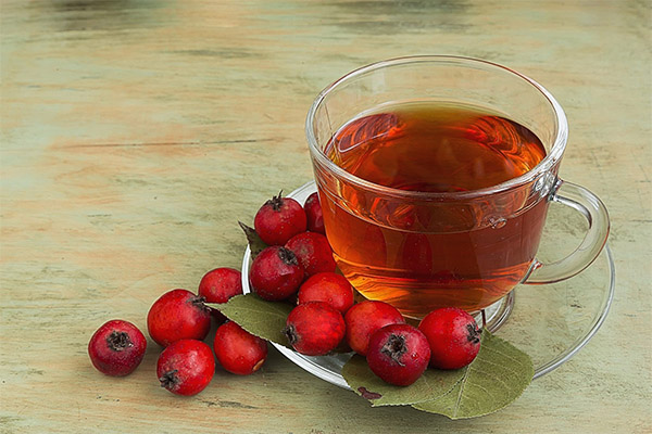 How to brew hawthorn berries