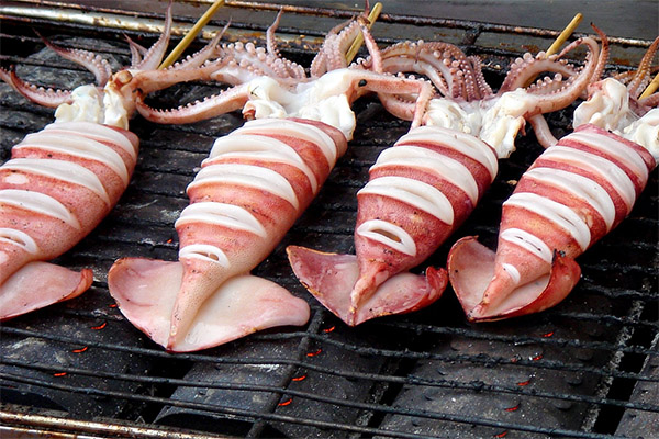 How to cook squids very well