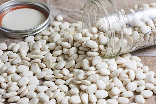 白いんげん豆の選び方・保存方法