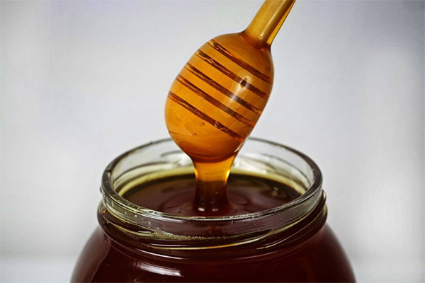 Comment choisir et conserver le miel de sarrasin ?
