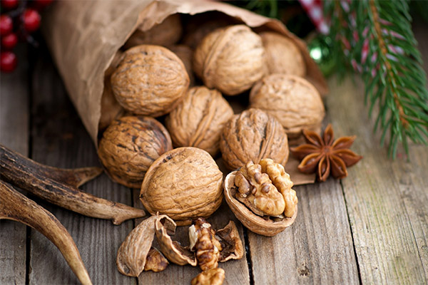 Jak vybrat a skladovat vlašské ořechy