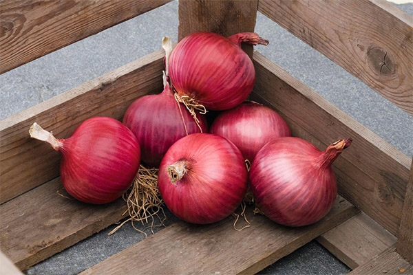 How to Choose and Store Red Onions