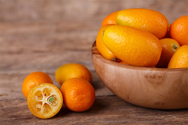 Auswahl und Lagerung der Kumquats