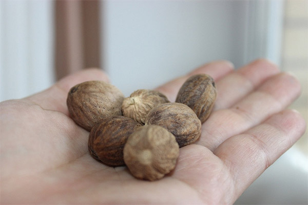 How to choose and store nutmeg