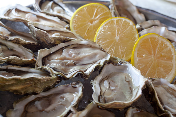 How to choose and keep oysters