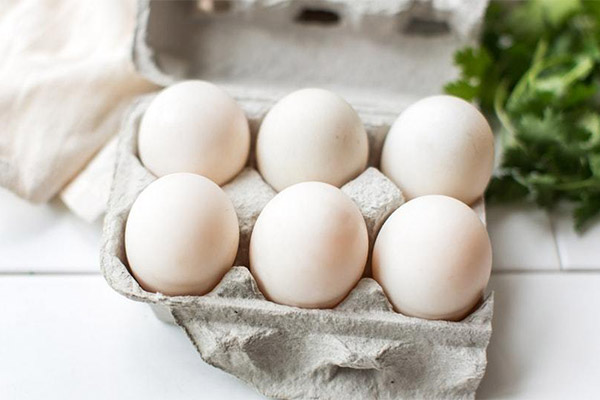 アヒルの卵の選び方・保存方法