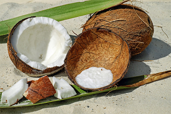 Kokosnuss in der Kosmetologie