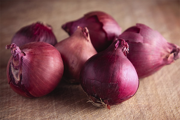 Red Onion in Medicine