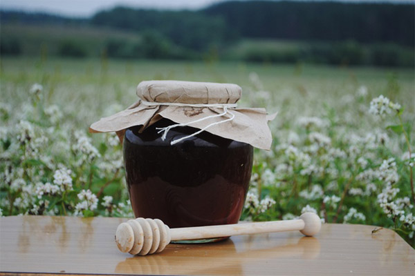 Propriétés thérapeutiques du miel de sarrasin