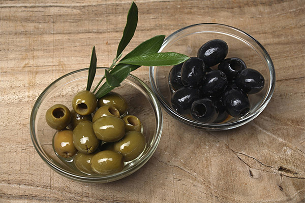Oliven og oliven