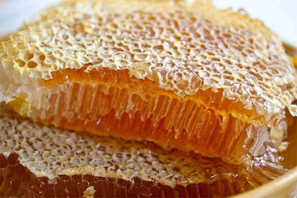 Honig Honigwabe Medizin