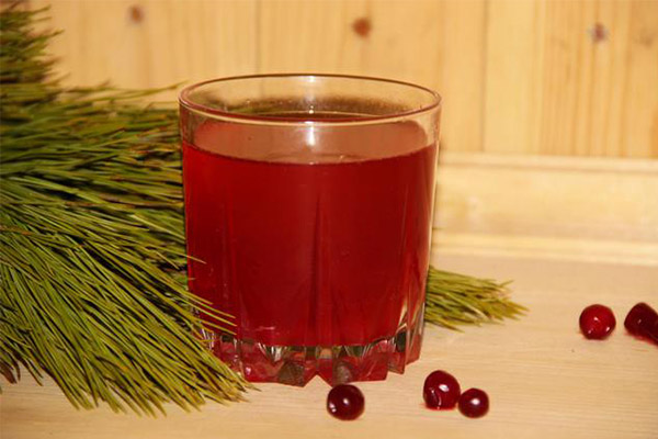 Cranberry morsel in medicine