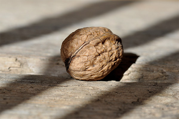 Můžeme dávat ořechy zvířatům?