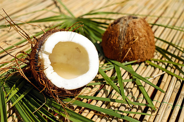 Can I eat coconut when losing weight