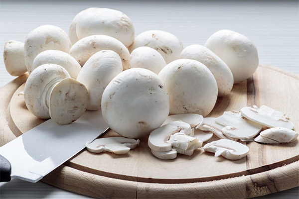 Is it possible to eat mushrooms when losing weight