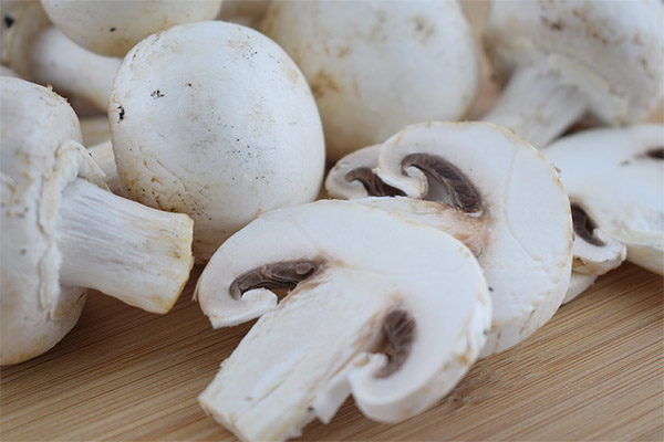 Kan man blive forgiftet af rå champignon?
