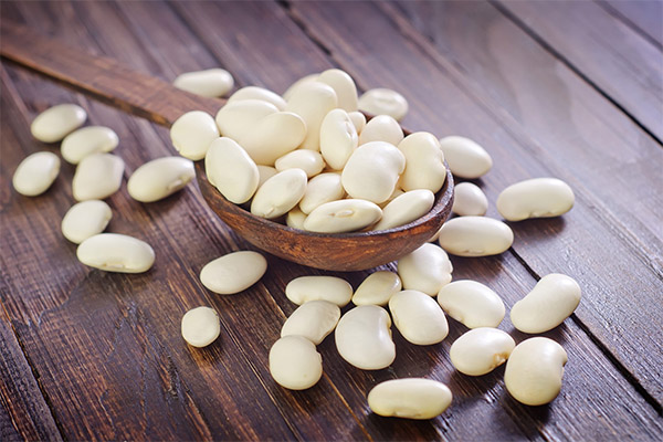 白いんげん豆の効用と弊害