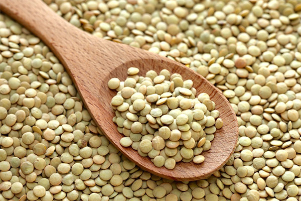 The benefits and harms of lentils