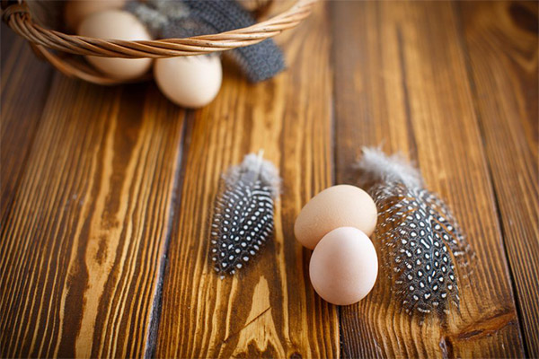 Nutzen und Schaden von Perlhuhn-Eiern