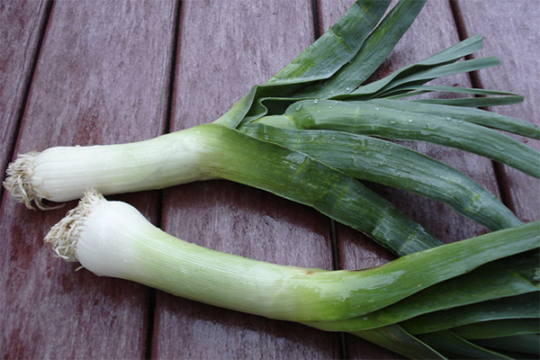 The benefits and harms of leeks