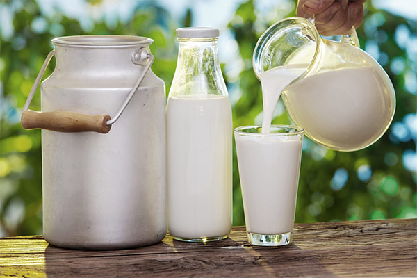 牛乳の効用と弊害