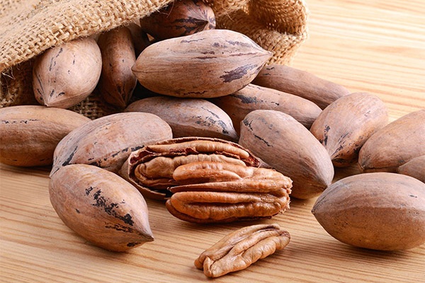Výhody a škody pekanových ořechů