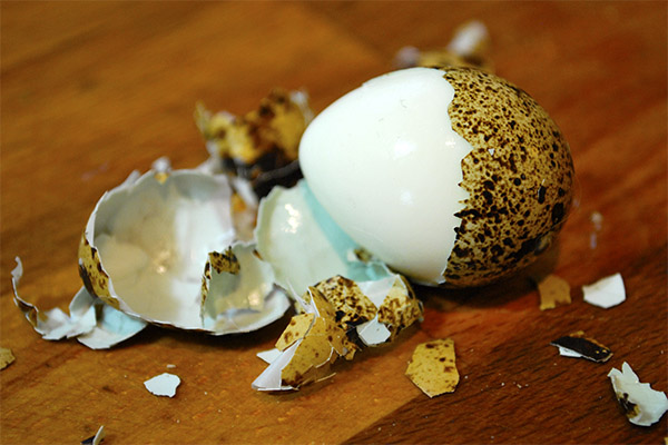 ウズラの卵の殻の効用と害悪