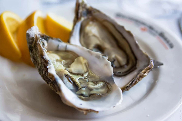 The benefits and harms of oysters