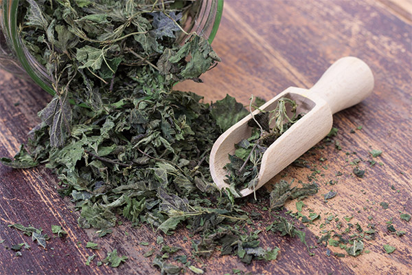 The benefits of dried nettles