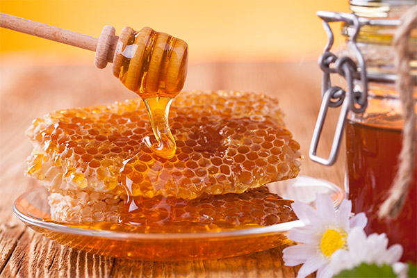 Rules for honey selection in honeycombs