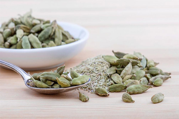 Using Cardamom in Cooking