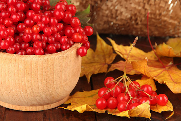 Recipes of traditional medicine based on cranberry
