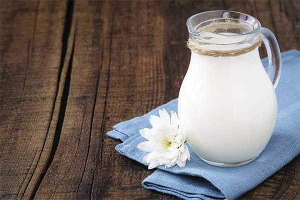 Traditionelle Heilmittel für Milch