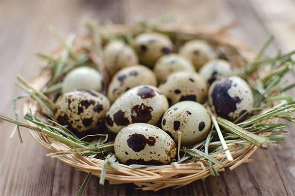 Recettes de la médecine traditionnelle à base d'œufs de caille