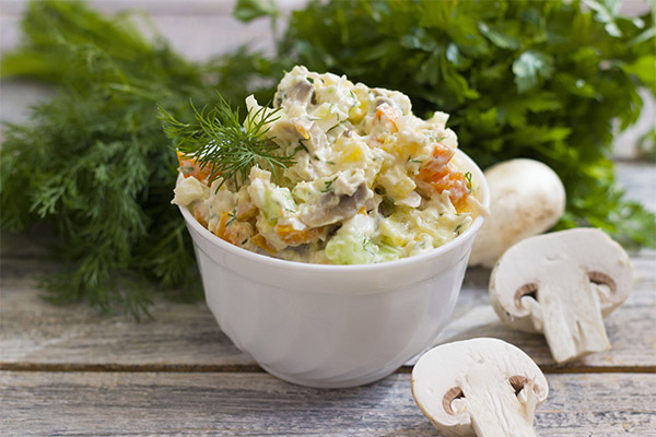 Opskrifter på salat med rå champignoner