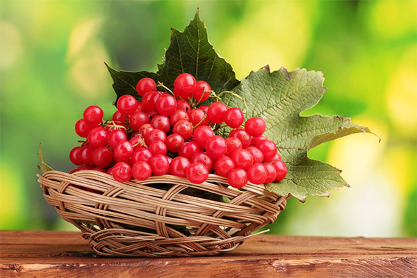 Purchase and preserving of guelder rose