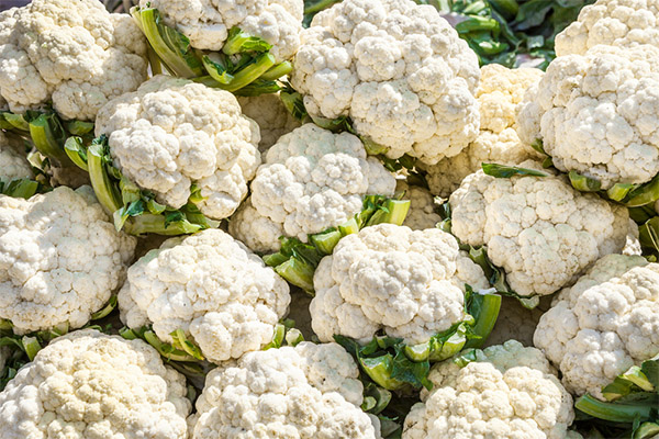 How much of cauliflower can be eaten per day.