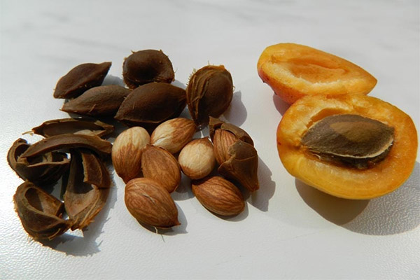 Utilisation médicale de l'huile de noyau d'abricot