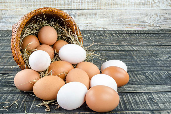Hvide og brune æg