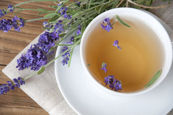 Lavendel te i medicin