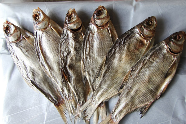 Vorteile von getrocknetem und getrocknetem Fisch