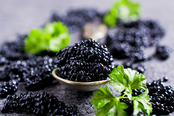 Le caviar noir en médecine