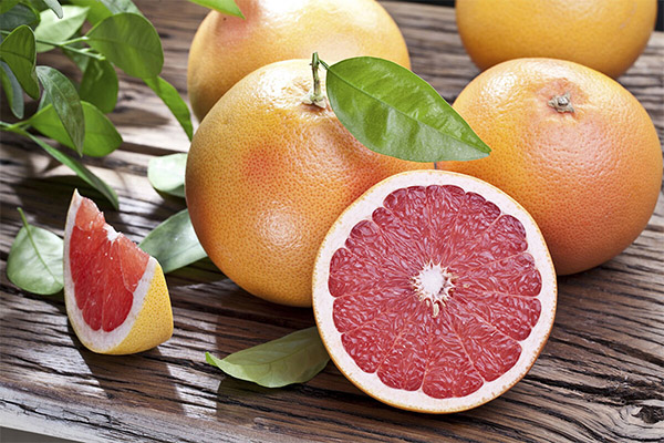 Fakta om grapefrugter