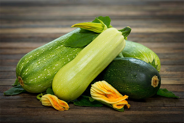 Interesting facts about zucchini